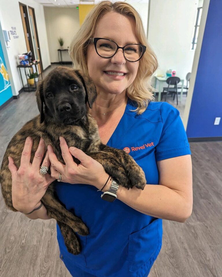 371112965 17900313173841739 3473338986063120534 n 768x960