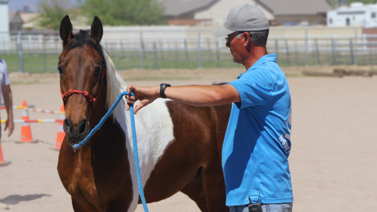 47e10b1 3a5e 430e 6247 f8071e12af4 luke kush 768x432