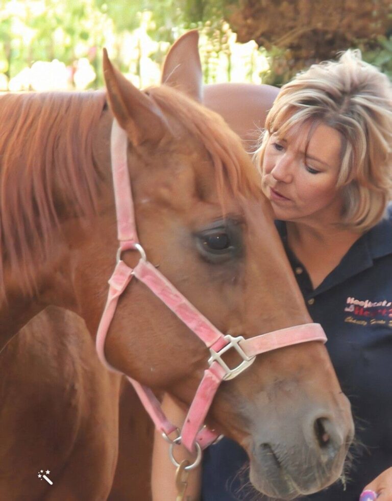 About us Enhanced 768x982