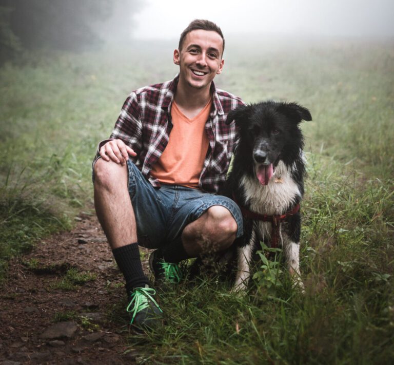 Revel Vet dog 768x711